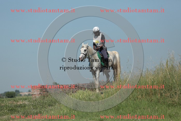 MAT_9700.JPG