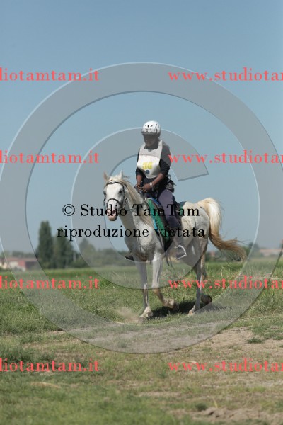 MAT_9703.JPG