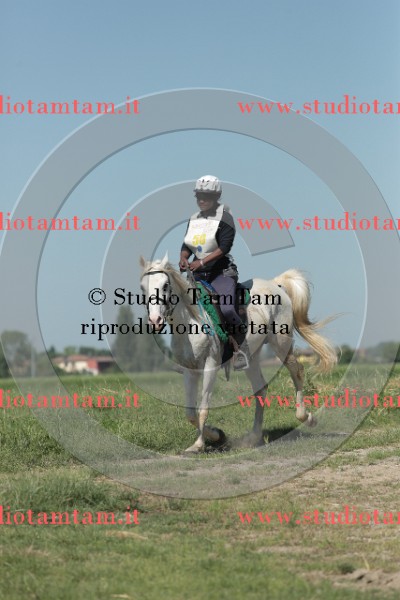 MAT_9704.JPG