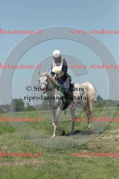 MAT_9705.JPG