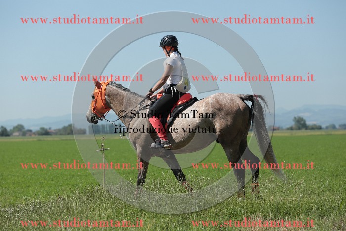 MAT_9706.JPG