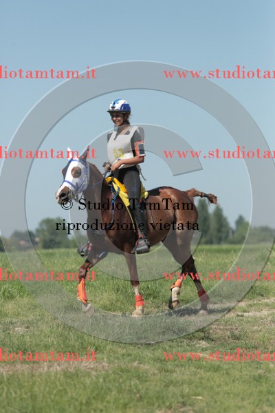 MAT_9708.JPG