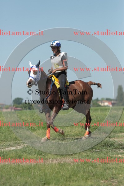 MAT_9709.JPG