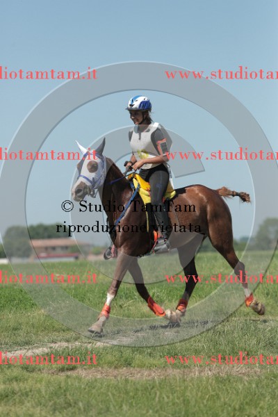MAT_9710.JPG