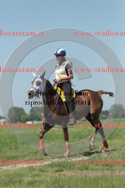 MAT_9711.JPG