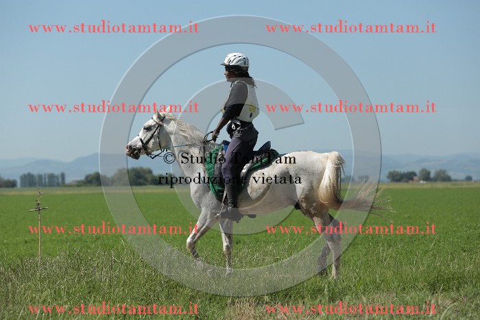 MAT_9713.JPG