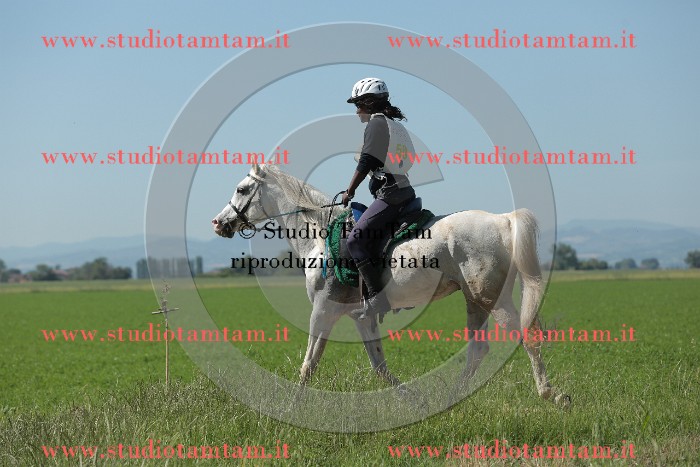 MAT_9714.JPG