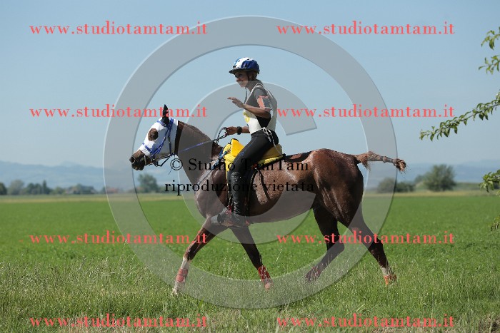 MAT_9715.JPG