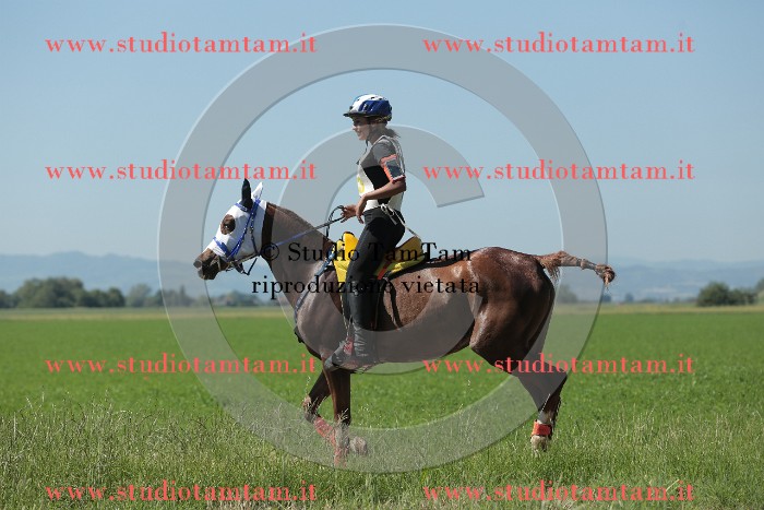 MAT_9716.JPG
