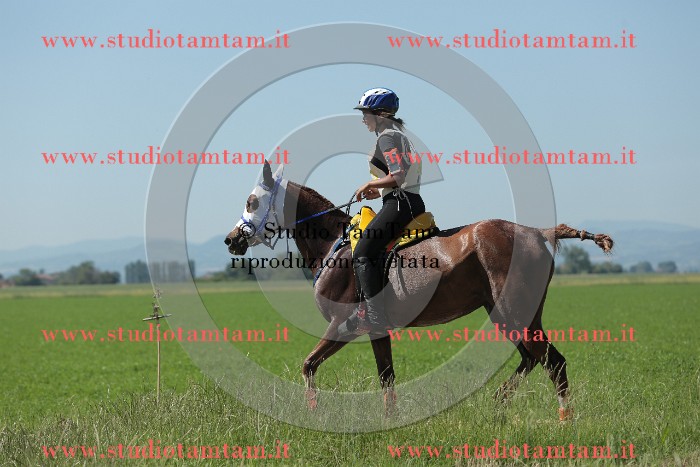 MAT_9718.JPG