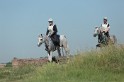 MAT_9528