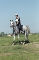 MAT_9529