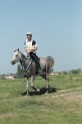 MAT_9535