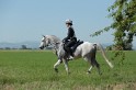 MAT_9538