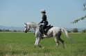 MAT_9539