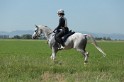 MAT_9541