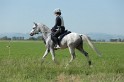 MAT_9542