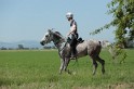 MAT_9543