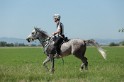 MAT_9545