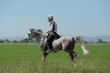 MAT_9548