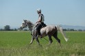 MAT_9549