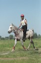 MAT_9553