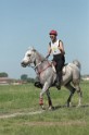 MAT_9554