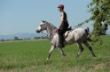 MAT_9557