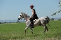MAT_9558