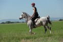 MAT_9559