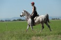 MAT_9560