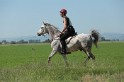 MAT_9561