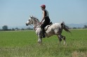 MAT_9562