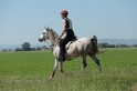 MAT_9563