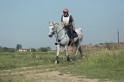 MAT_9568