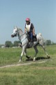 MAT_9569