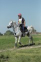 MAT_9571