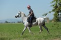 MAT_9572