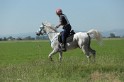 MAT_9576