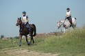 MAT_9596