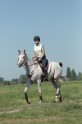 MAT_9603