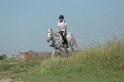 MAT_9616