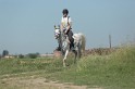 MAT_9617