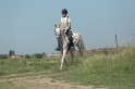 MAT_9618