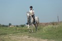 MAT_9619