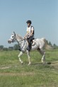 MAT_9620