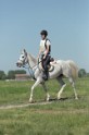 MAT_9622