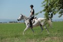 MAT_9624