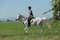 MAT_9625