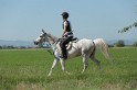 MAT_9626